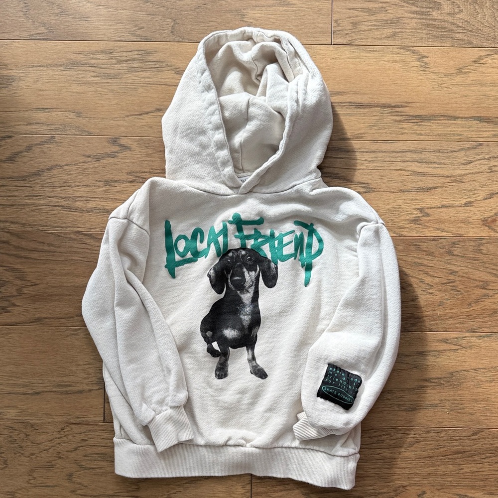 ZARA Toddler Hoodie